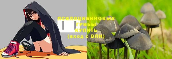 MDMA Premium VHQ Аркадак