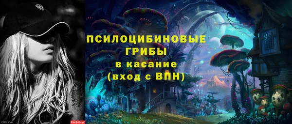 ГАЛЛЮЦИНОГЕННЫЕ ГРИБЫ Армянск