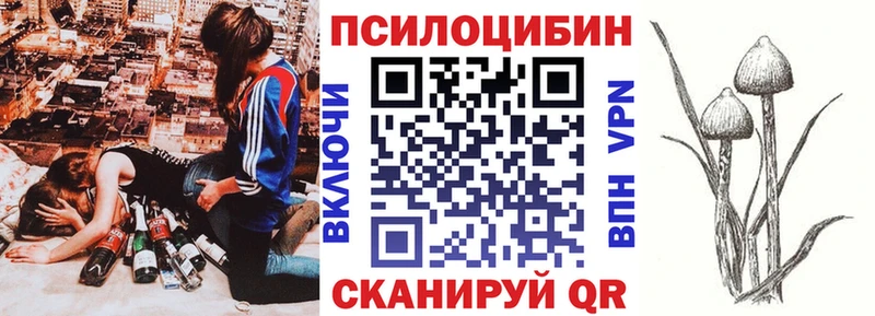 Купить  Серов  Псилоцибиновые грибы Magic Shrooms 
